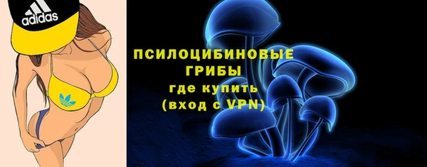 твердый Мегион