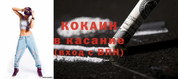 твердый Мегион