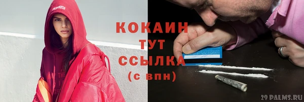 твердый Мегион