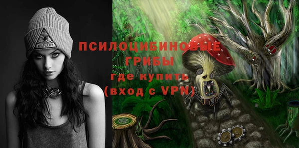 твердый Мегион