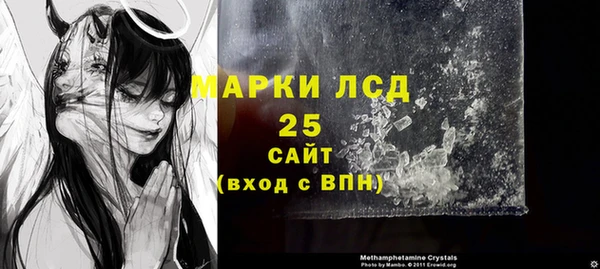 твердый Мегион